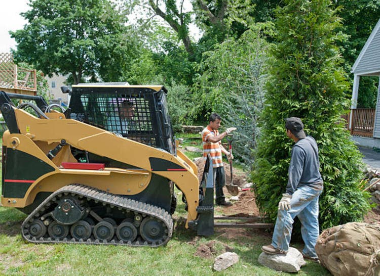 Three men using a bulldozer to plant a tree
