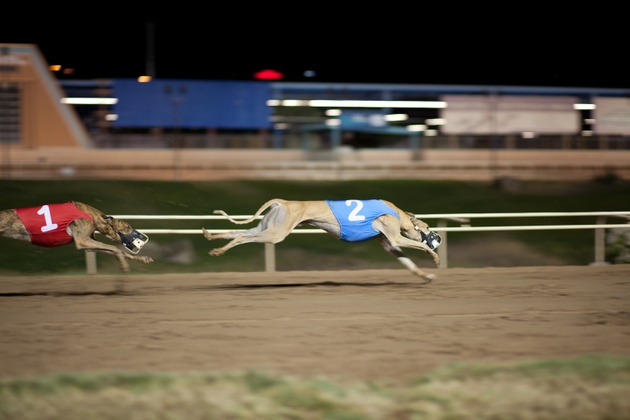 Skip The Market Darling Eli Lilly; Buy The Underdog Novo Nordisk