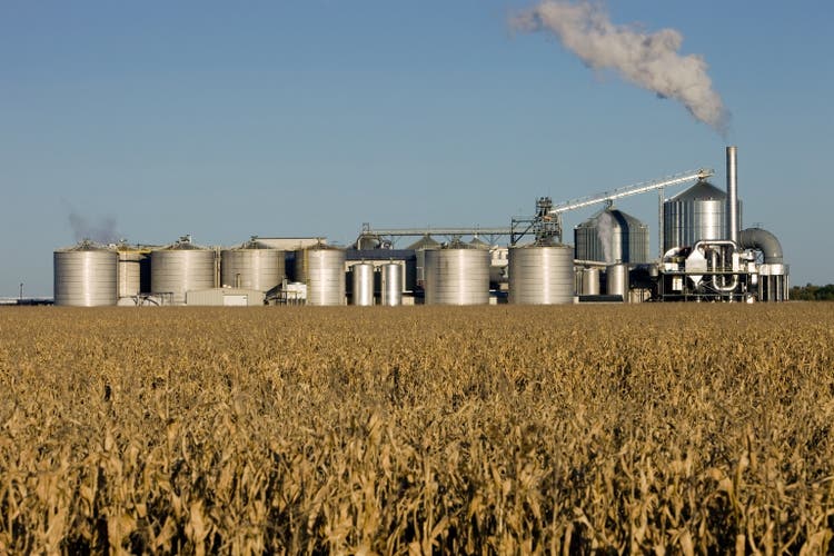 Fall Cornfield with Ethanol Biorefinery in the Background