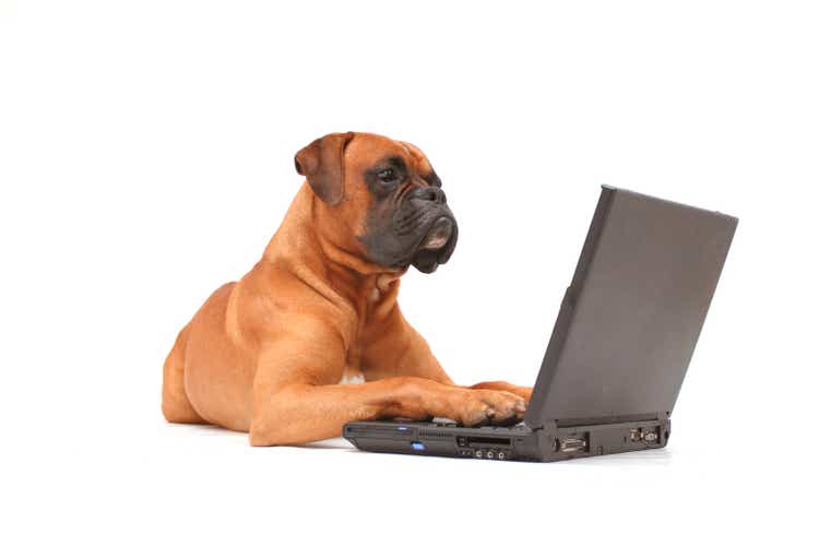 Dog working on laptop