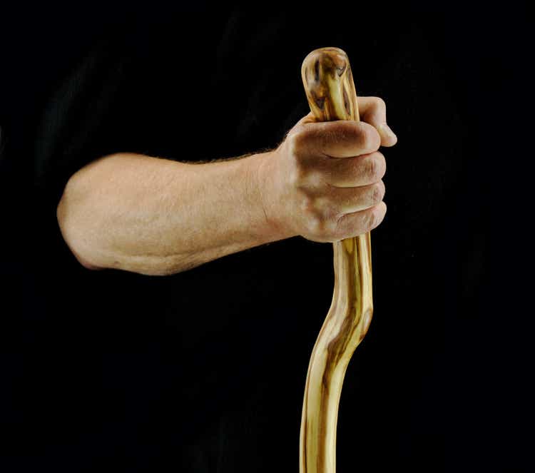 Hand and Walking Stick
