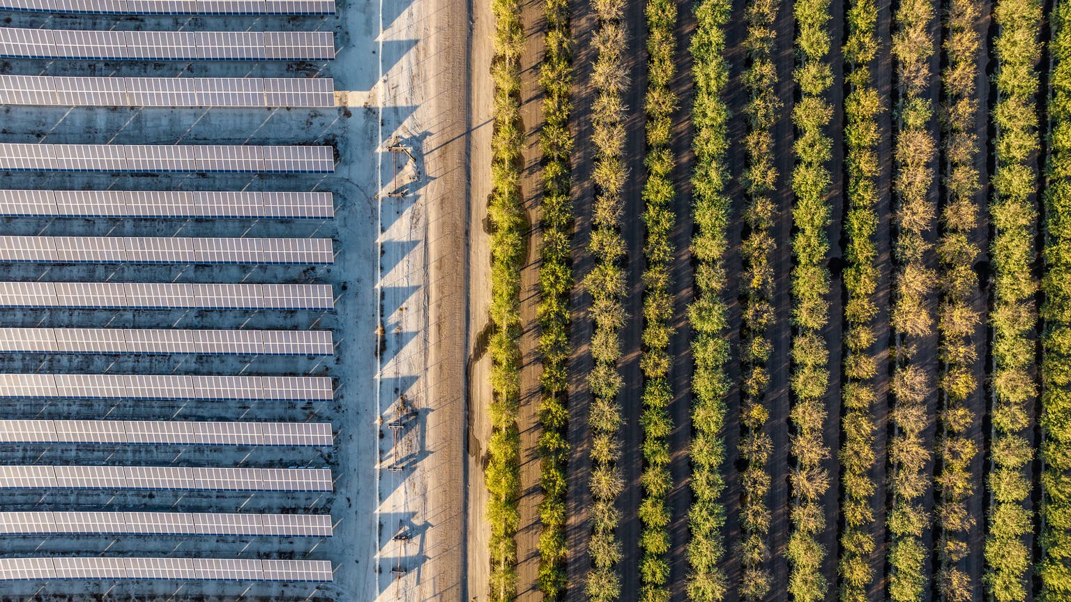 Glass House Brands: Scaling Craft Cannabis At Industrial Efficiency