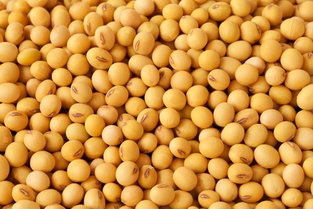 China to buy 12M metric tons of U.S. soybeans this season, 87M tons through 2028