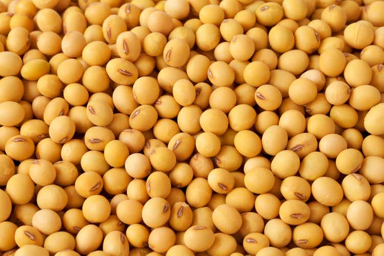 Soybean futures rebound after USDA forecasts file U.S. harvest (NYSEARCA:SOYB)