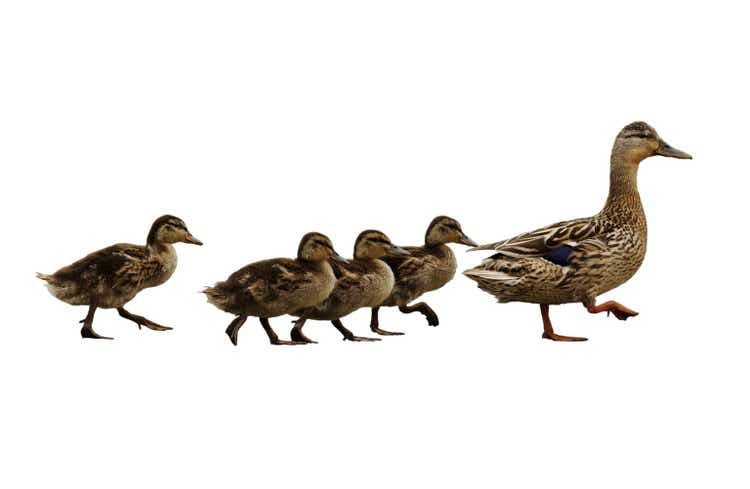 2 Ugly Ducklings To Consider For Dividend Growth Portfolio