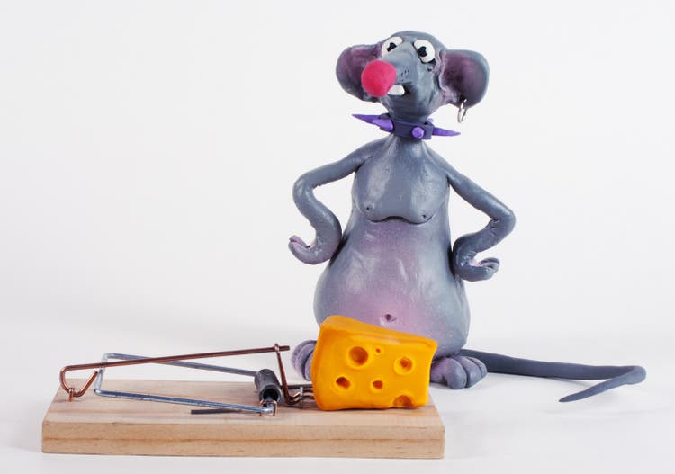 Mouse dilemma
