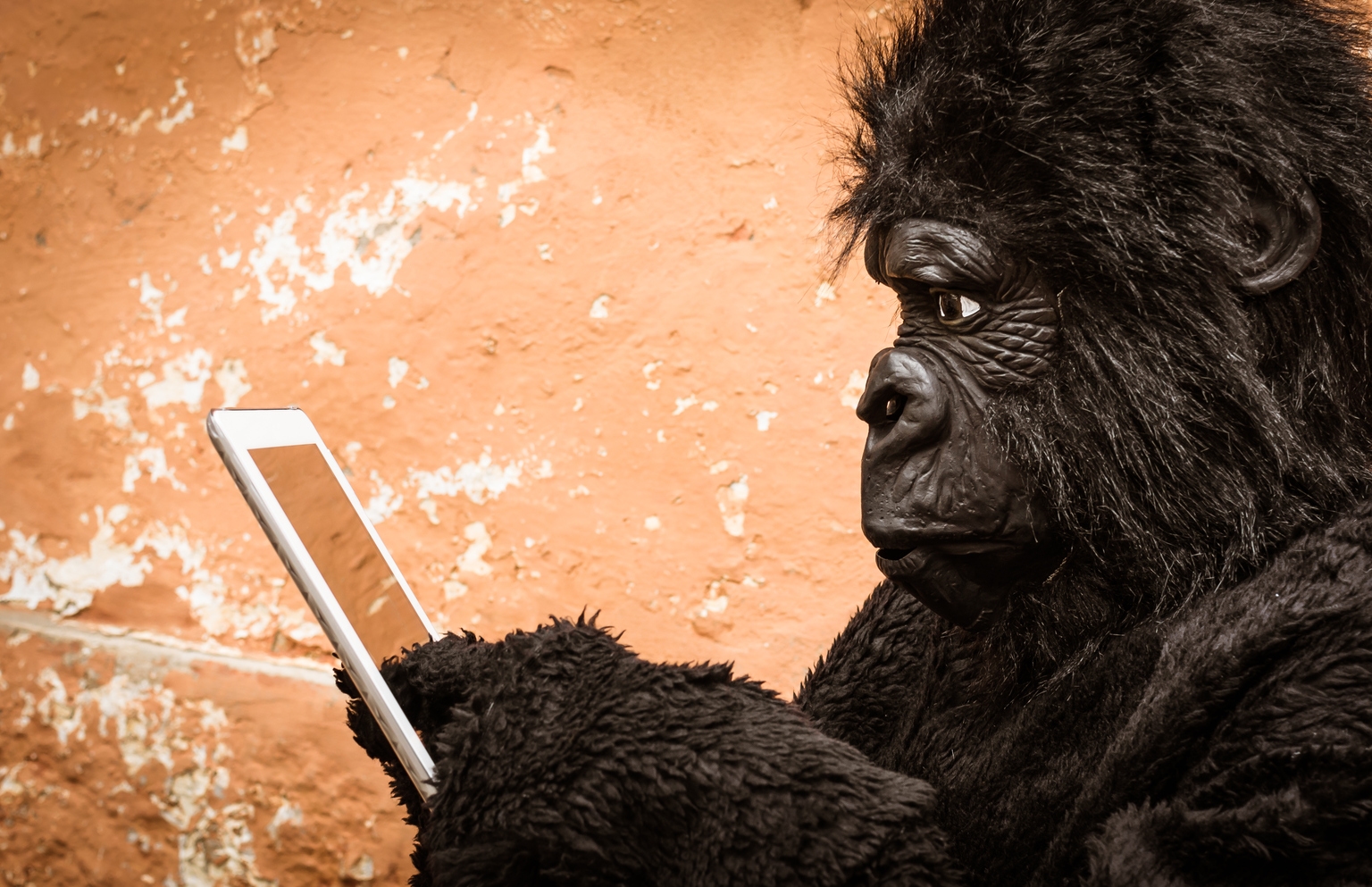 Gorilla Technology: The AI Small-Cap You Need to Know About - Explosive Growth & $5.6B Potential