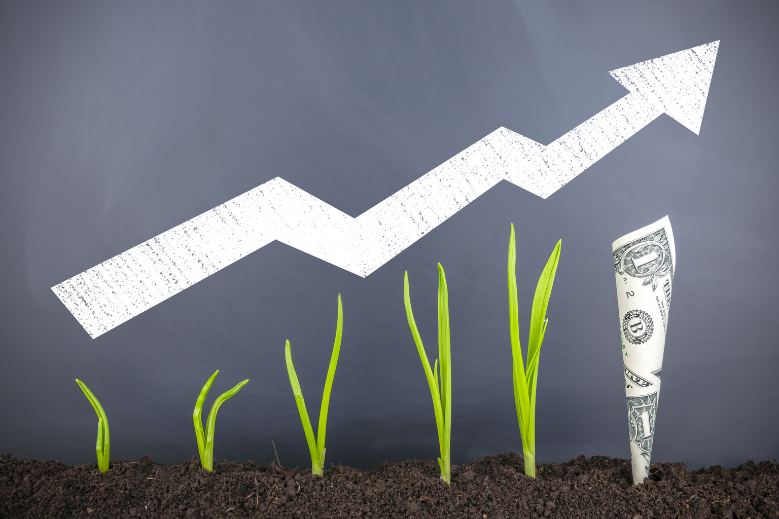 seekingalpha.com - Mutual Fund Commentaries - Goldman Sachs Mid Cap Growth Fund Q4 2025 Commentary