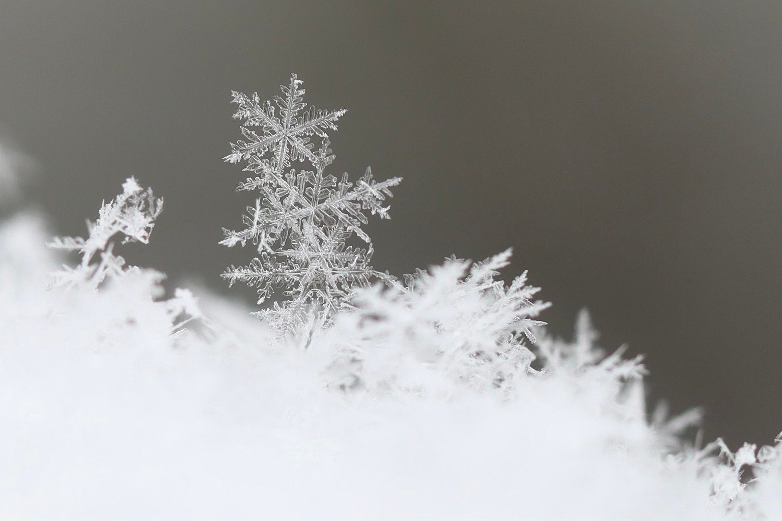 Snowflake Inventory’s Money Circulate Reveals A More healthy Valuation Image (NYSE:SNOW)