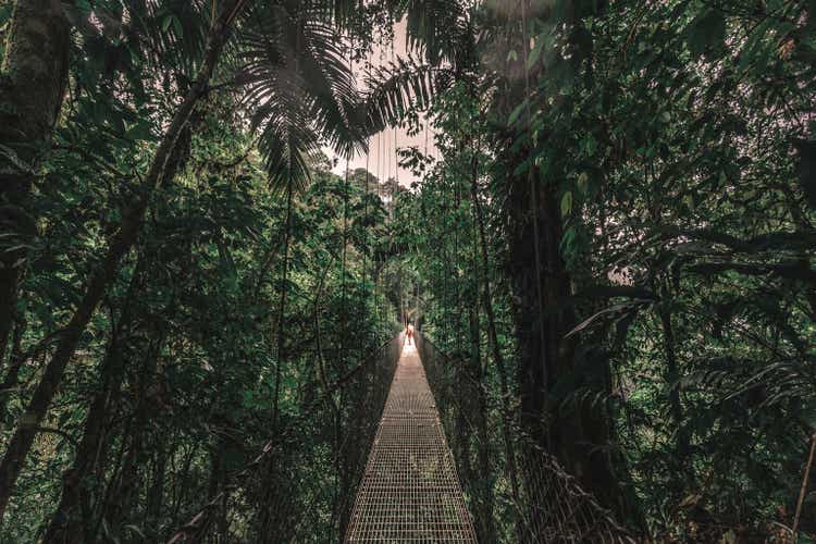 Tourist in Arenal Walking Bridge, Costa Rica