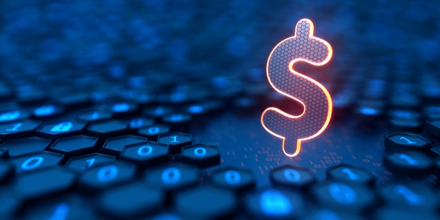 Futuristic digital background. Hexagon shell with binary code and glowing dollar sign. Protection your money. Internet security and privacy concept. 3d illustration