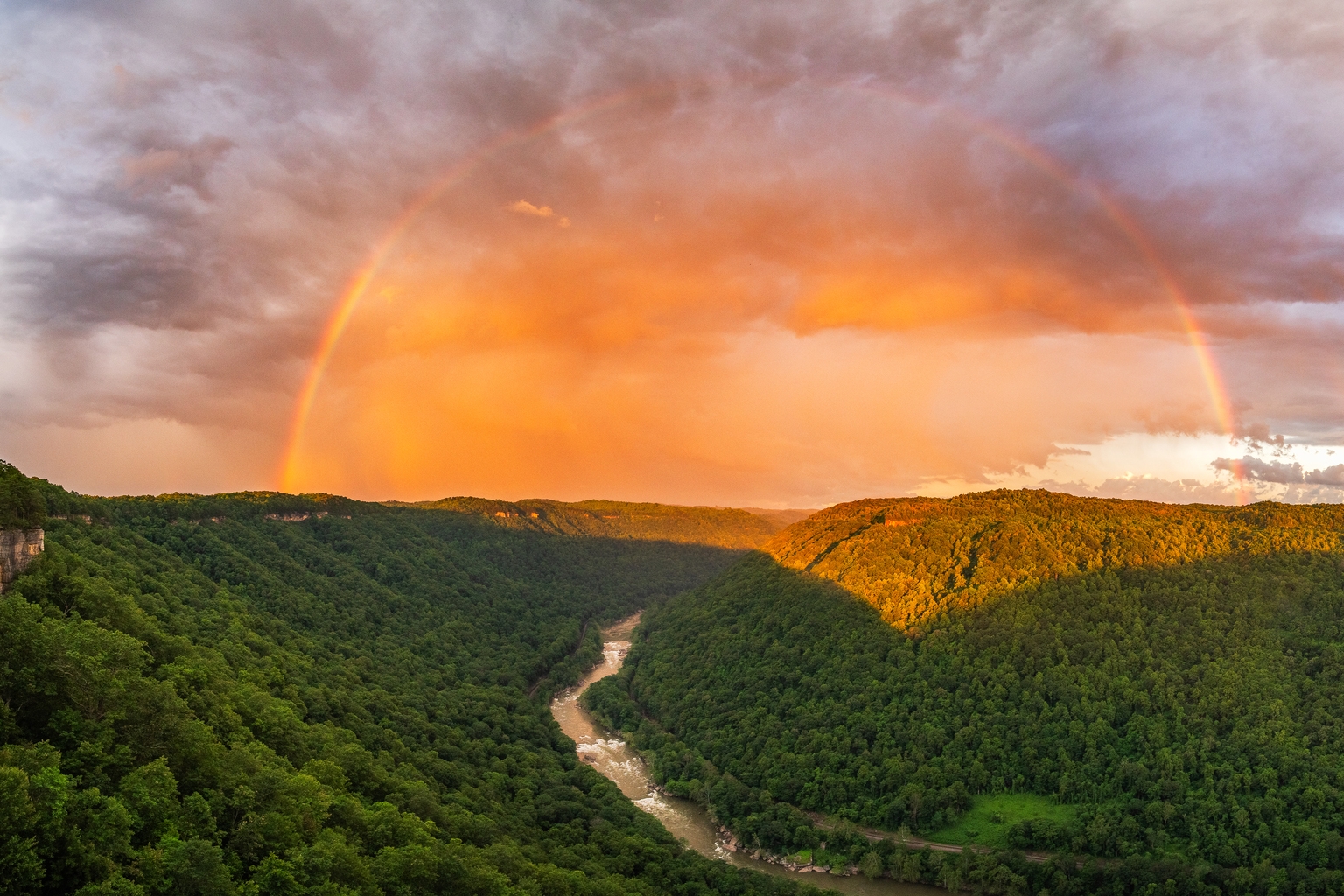 Dividend Stocks Worth Betting On For The 2026 Income Supercycle