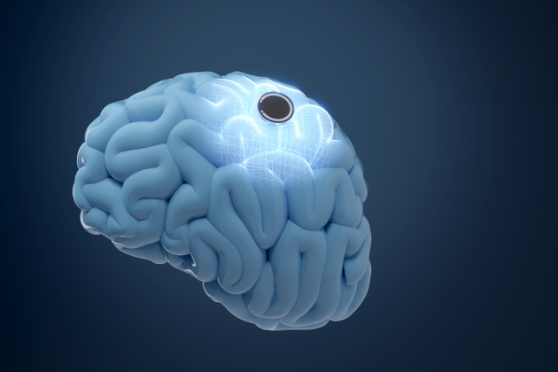 Human brain and implanted chip
