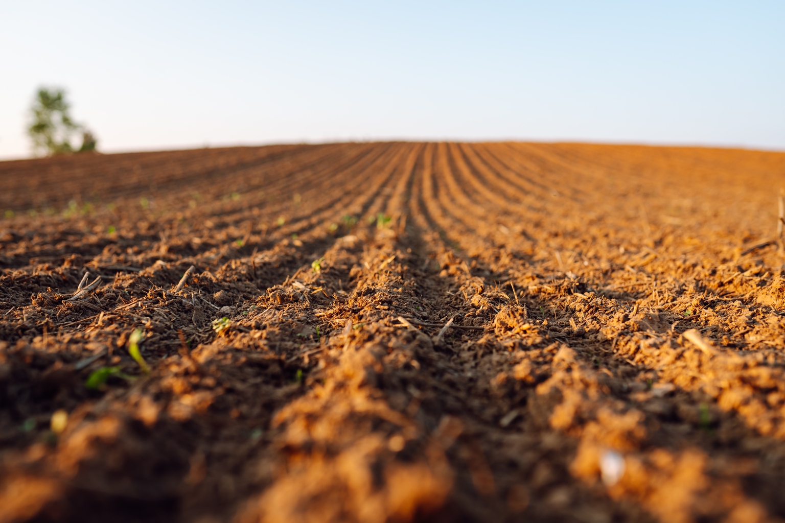 BrasilAgro: A Possible Beneficiary Of The Trade War (NYSE:LND)