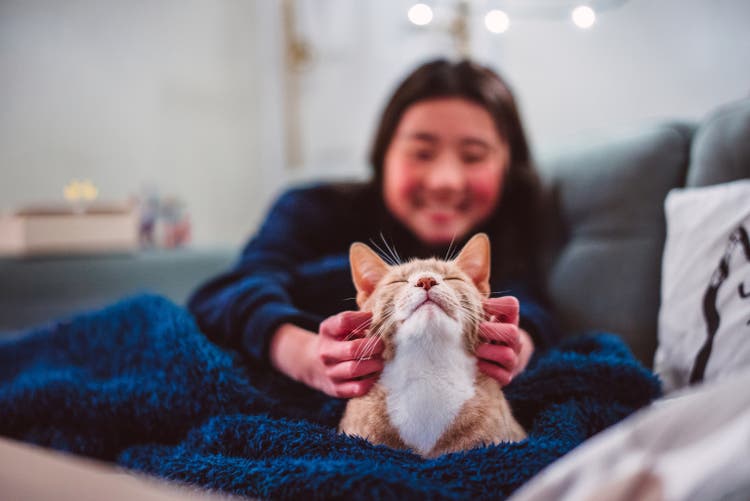 Cheerful teenage girl scratching her ginger tabby cat’s face while sitting with blanket on sofa together at night. Love and care for pets, enjoying bonding time with pet cats.