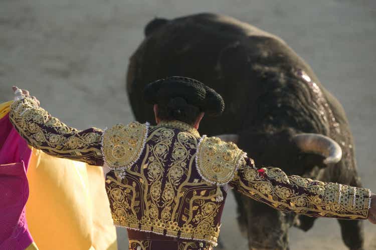 Torero being charged by bull, holding out cape, rear view