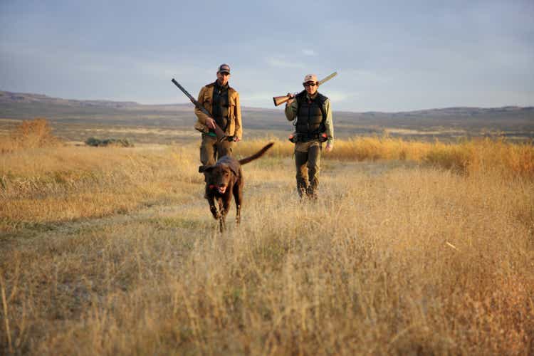 Two men hunting with Chocolate labrador, portrait