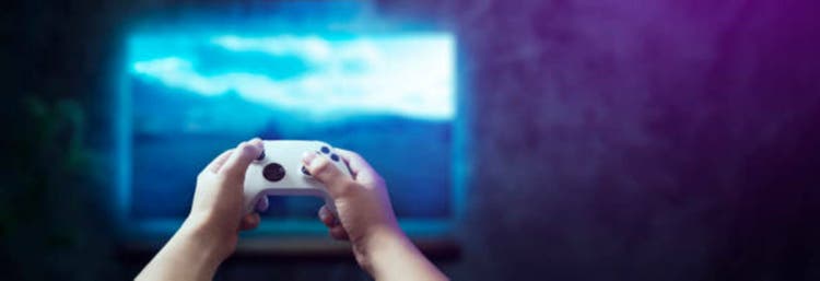 controller in man
