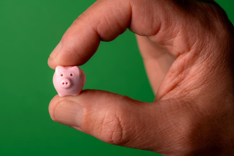 Pinching the piggy bank