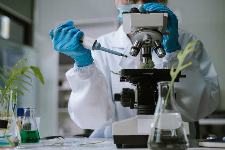 Eco laboratory microbiology. Sample in a Microscope and comparing a plant or herb in test tube or glassware. Natural product and organic cosmetic health care.