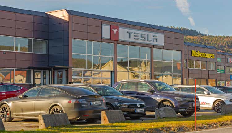 Tesla Service Norwegen