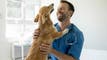 Merck Animal Health gets EU backing for Numelvi tablets article thumbnail