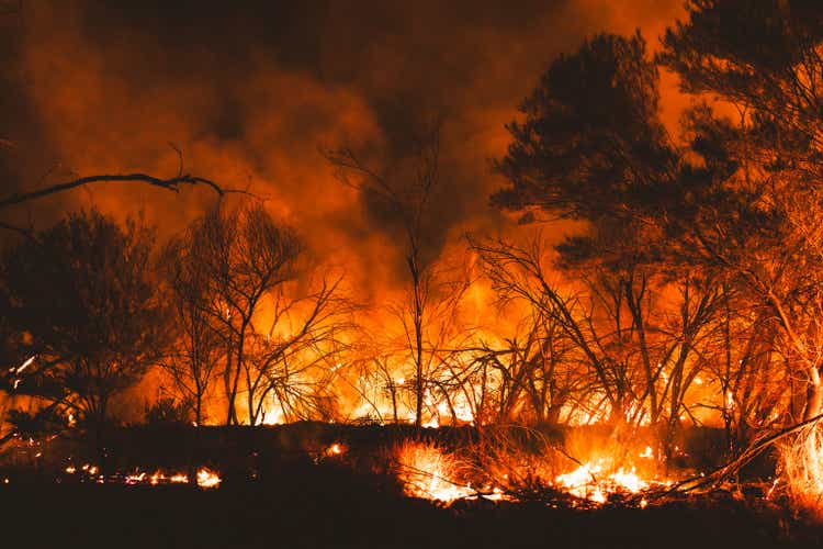 Wildfire in the wilderness photographed at night in the Australian outback, Northern Territory, Australia