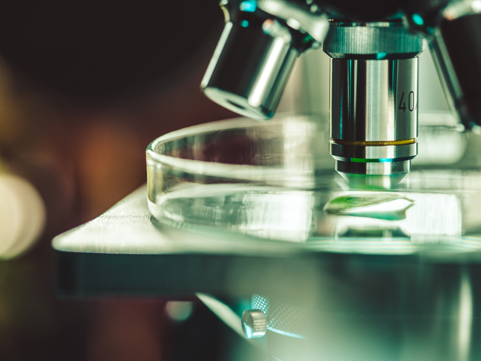 seekingalpha.com - Petri Dish Reports - Incyte Corporation: Why Jakafi Is No Longer The Real Story Here (NASDAQ:INCY)