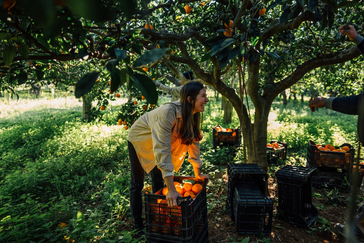 PTY: Balancing A Sweet Yield With A Significant Premium