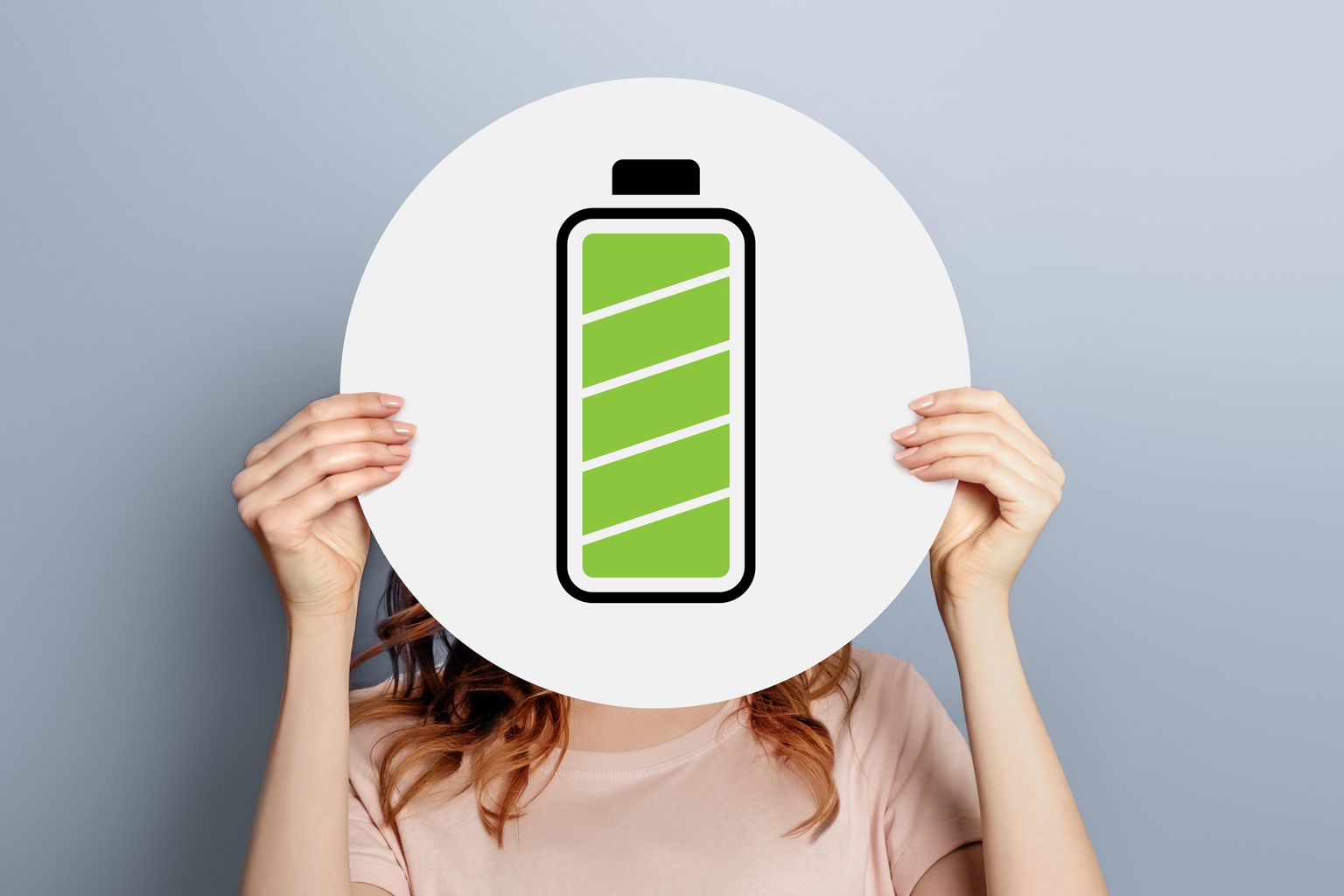 Electrovaya: Ashes To Asymmetry For This Wide-Moat Battery Maker