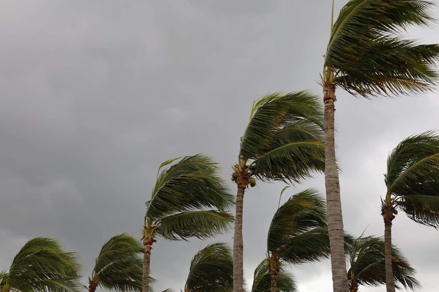 HCI Vs American Coastal Insurance: HCI Continues To Be Undervalued Despite A Solid Rally