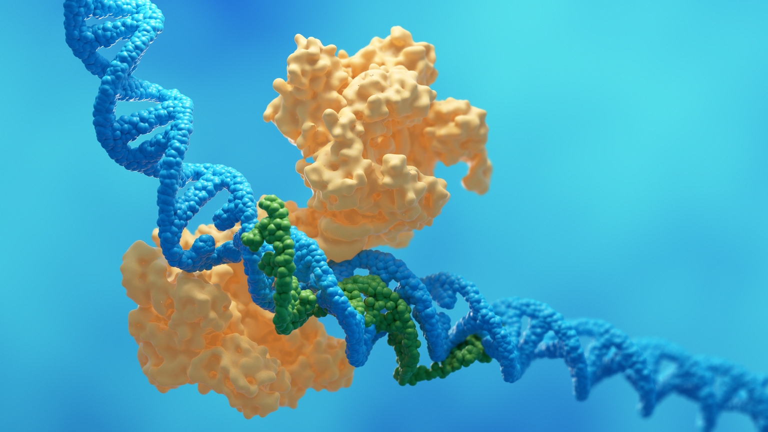 Crispr Therapeutics: Betting On A One-Shot Future (NASDAQ:CRSP)
