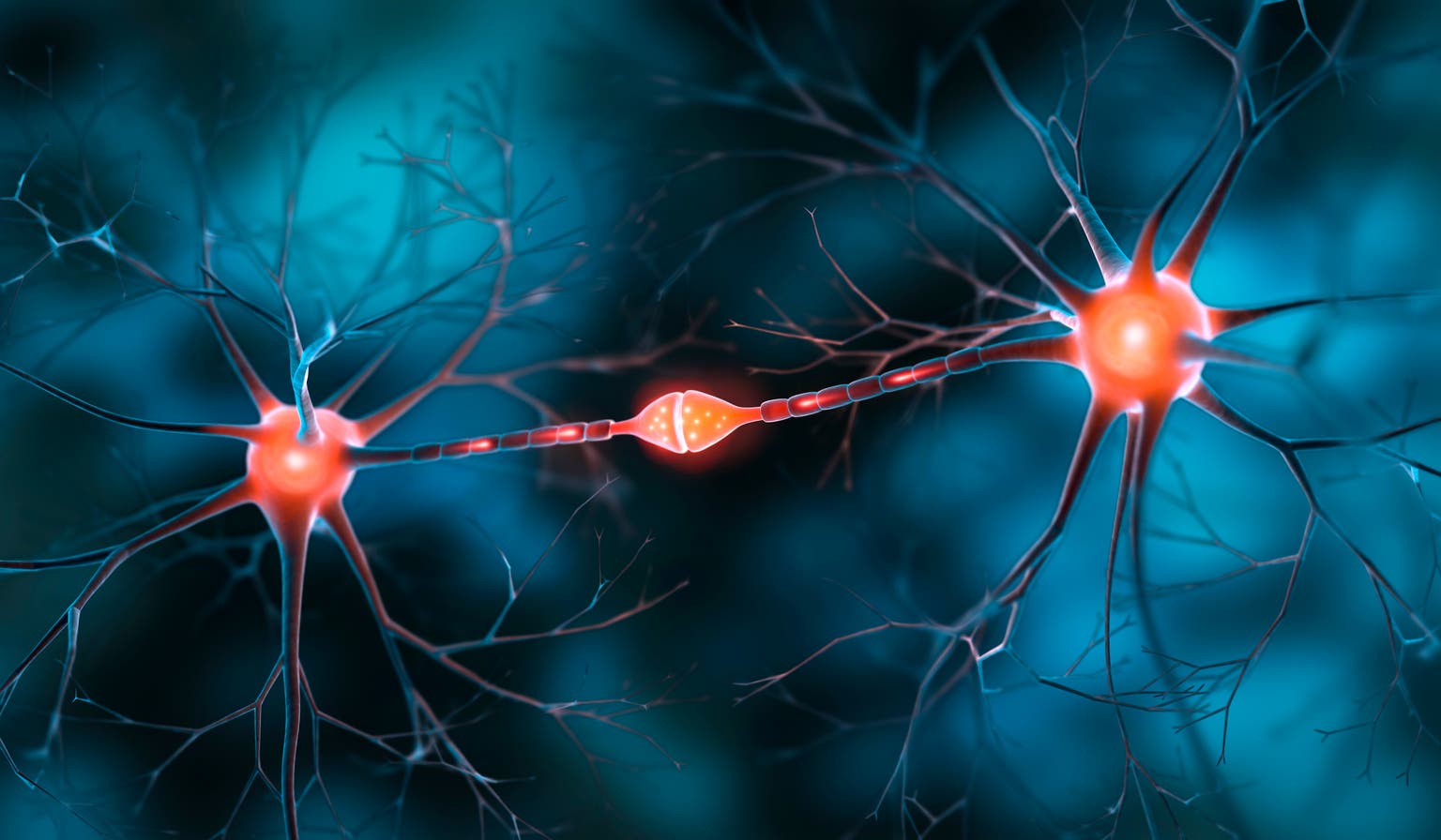 INmune Bio: Imminent Phase 2 Alzheimer's Readout Of Unique Asset Presents Interesting Speculative Opportunity