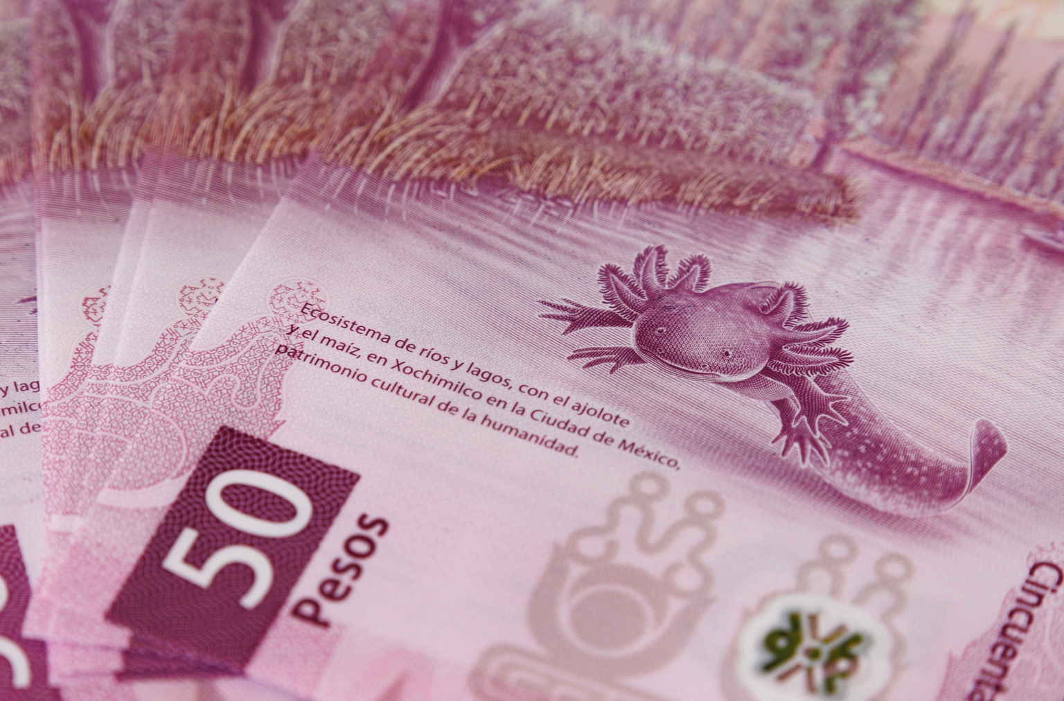 As U.S. Stocks Hit Records, Do Mexican Equities Offer Diversification  Opportunities? | Seeking Alpha