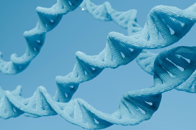 Image of DNA with honeycomb texture