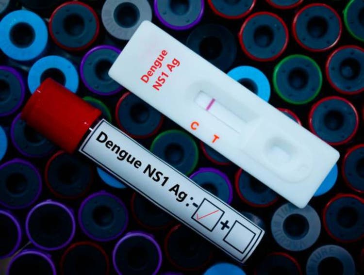 Merck begins late-stage trial for single dose dengue vaccine