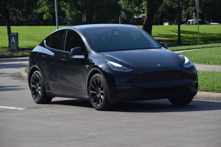 A black Tesla Model X cruising near a nature reserve