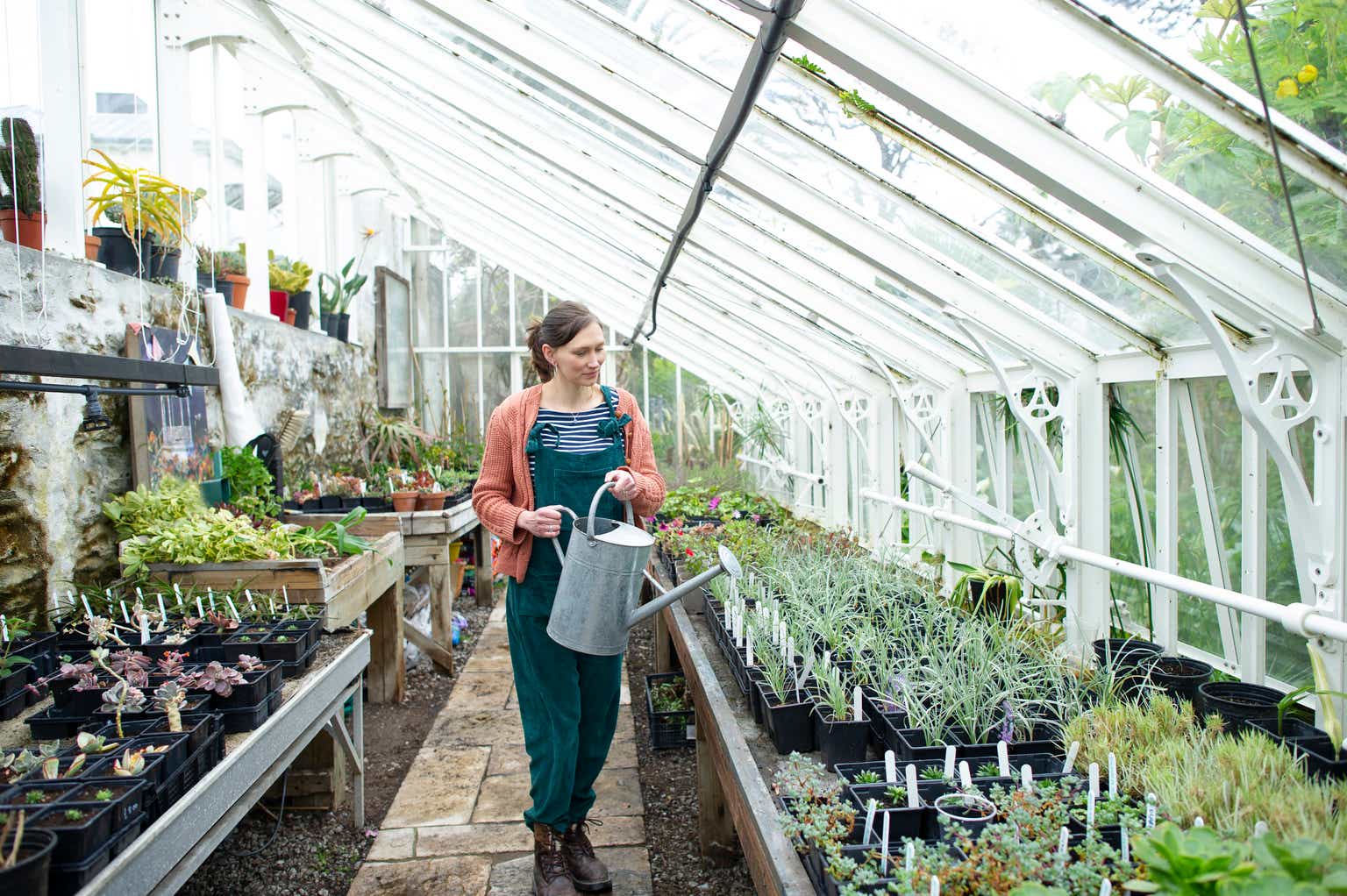 Sprouts Farmers Market: The Stock Everyone Ignored Until 2022