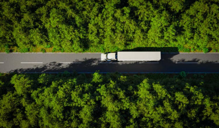 Heavy truck drives on a road that passes through a dense green and healthy forest - 3D illustration