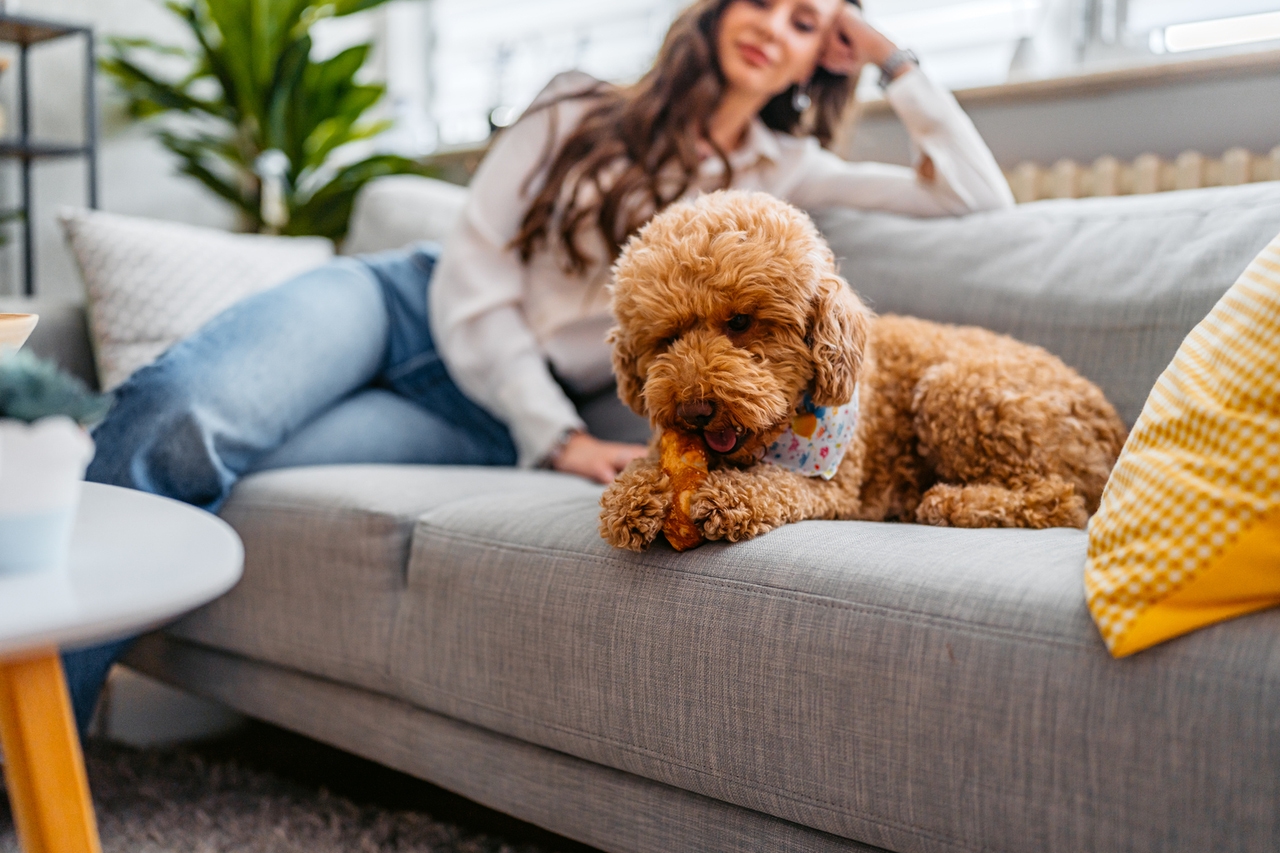 S&P 500 Daily Market Briefing preview 3