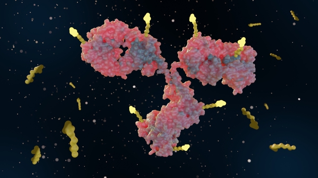 3d rendering of Antibody drug conjugates or ADCs
