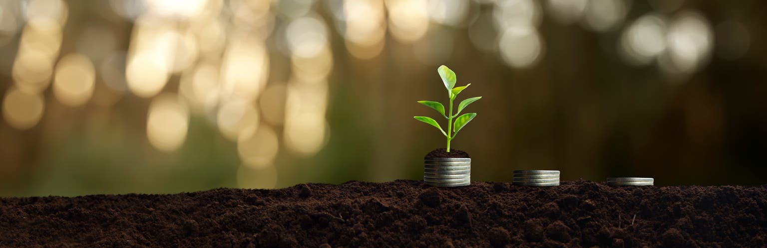 American Century Small Cap Growth Fund Q1 2025 Commentary