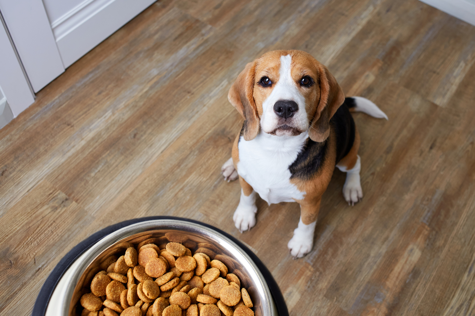 seekingalpha.com - Dividend Power - General Mills: Pet Food Will Drive Growth, Reiterating My Buy Rating (NYSE:GIS)