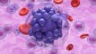 Schrödinger slides after early-stage trial data for cancer therapy article thumbnail