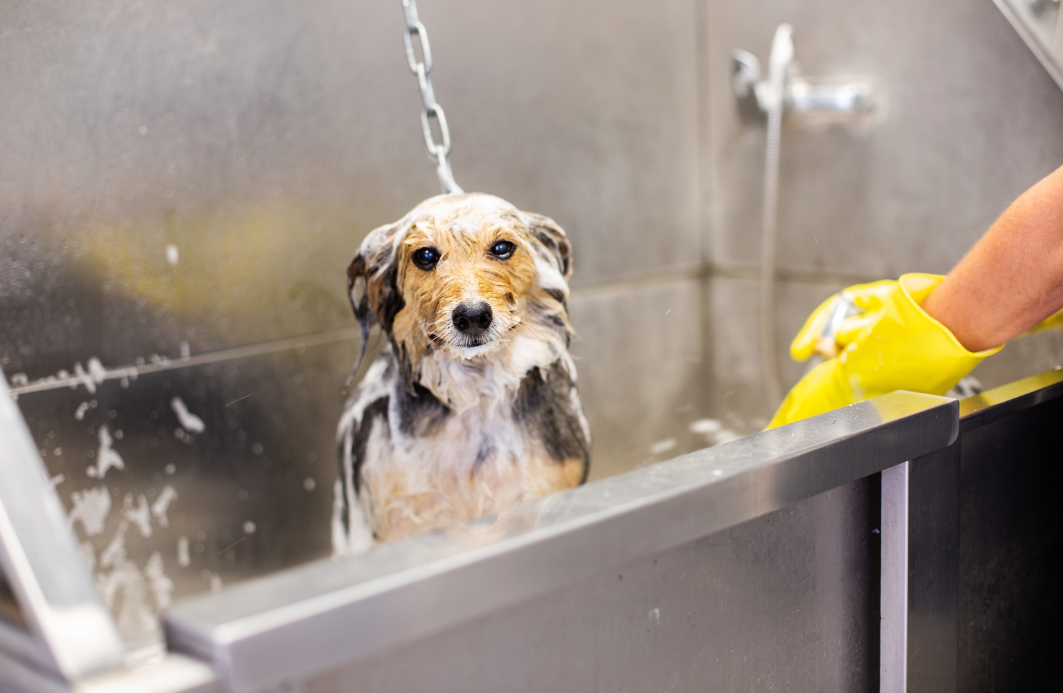 EFT: No Longer Makes Sense To Stay Invested (Rating Downgrade)