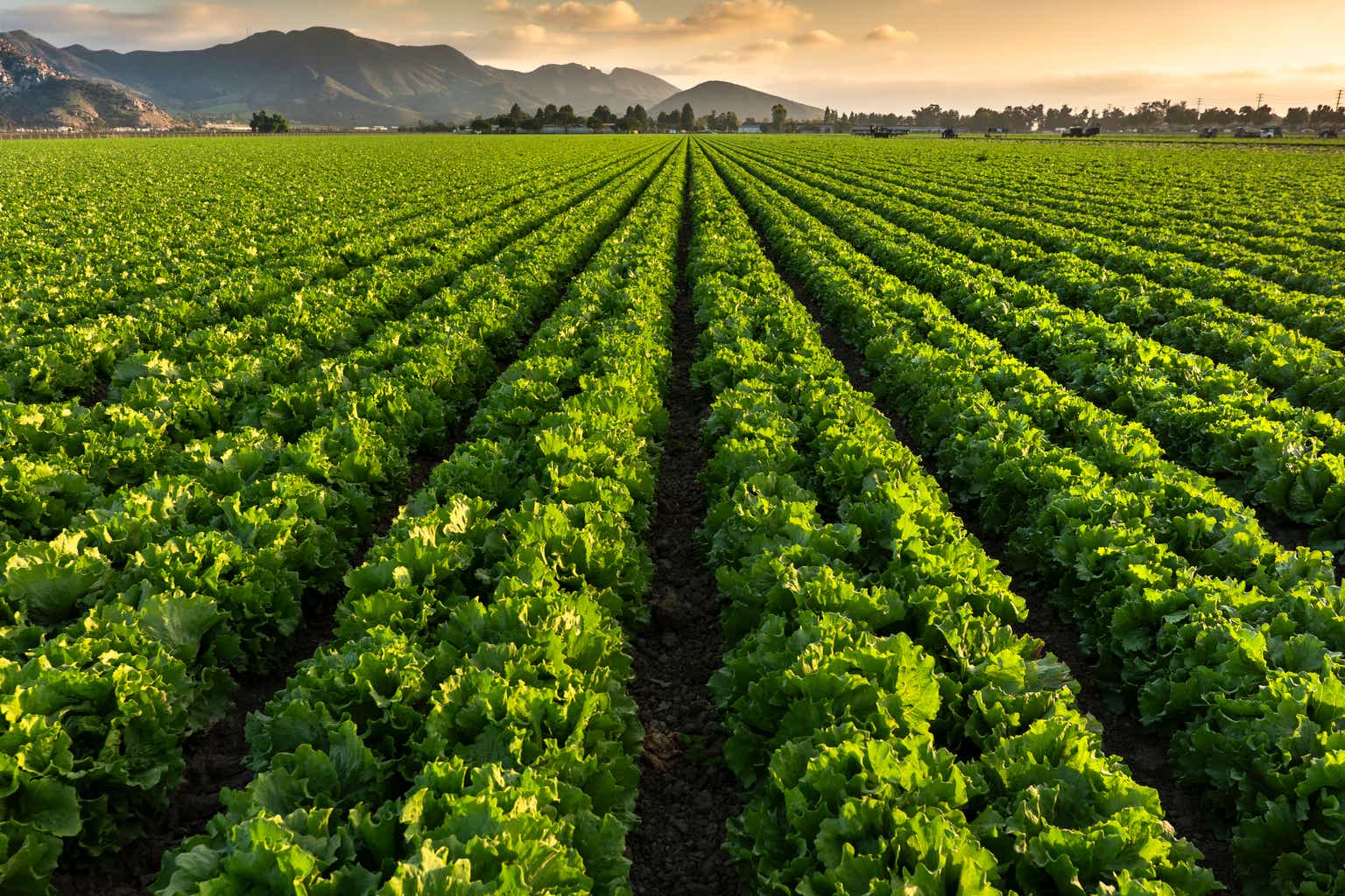 Nutrien Q1 2025: A Rough Start, But The Year Isn't Lost