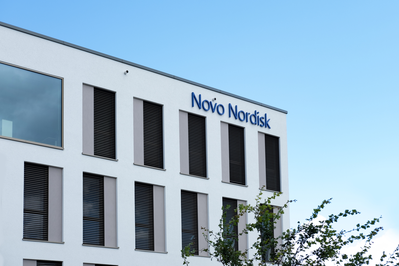 seekingalpha.com - Louis Gerard - Novo Nordisk: The Biggest Healthcare Bargain (NYSE:NVO)