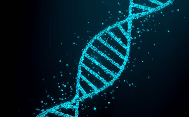 Spinning DNA strand and fluid particles.