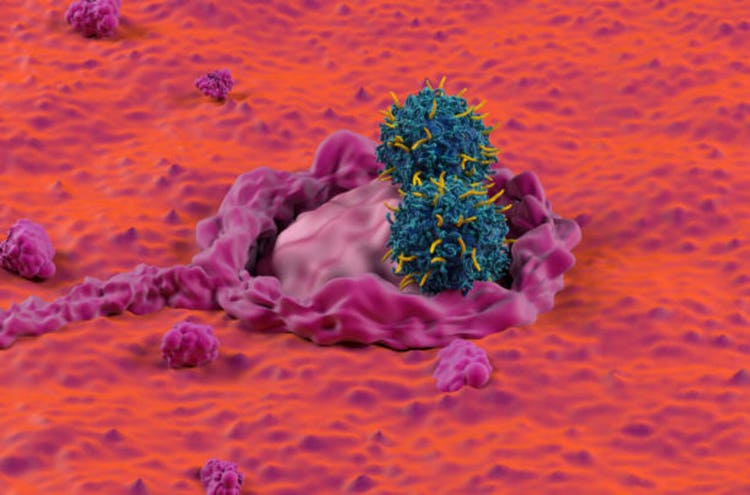 //seekingalpha.com/symbol/CRC' title='California Resources Corporation'>CRC</a>) - closeup view 3d illustration