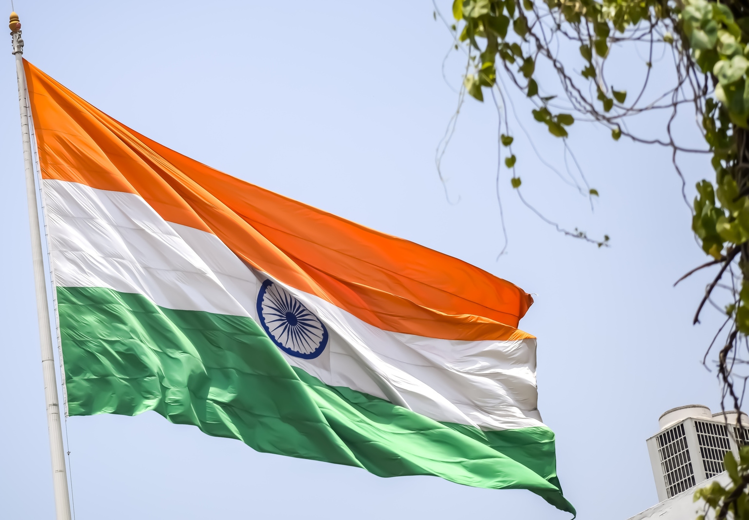 India Is Great, But Be Careful When Everyone Agrees With The Thesis news thumbnail